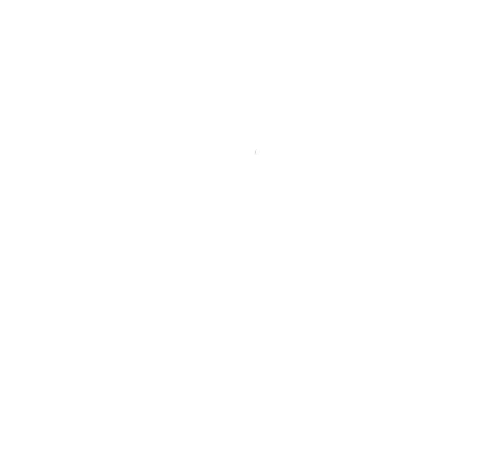 Der Küchendruide